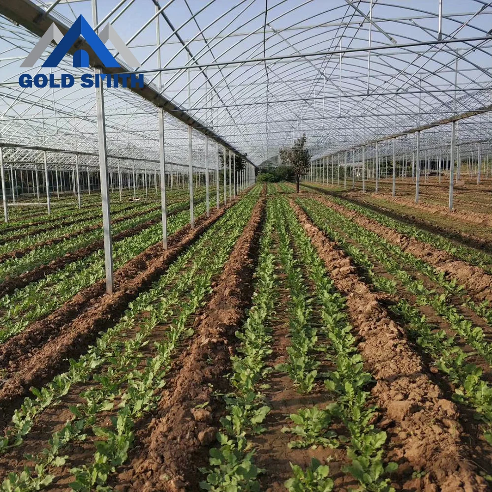 Professional Supplier Tunnel Film Greenhouse with Control System