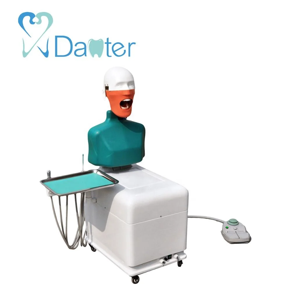 Top Sale Dental Simulation System Training Manikin- by Electric for Dentist Practice