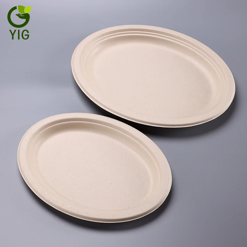 
10 Inches 100% Eco Friendly Disposable Sugarcane Oval Plates 