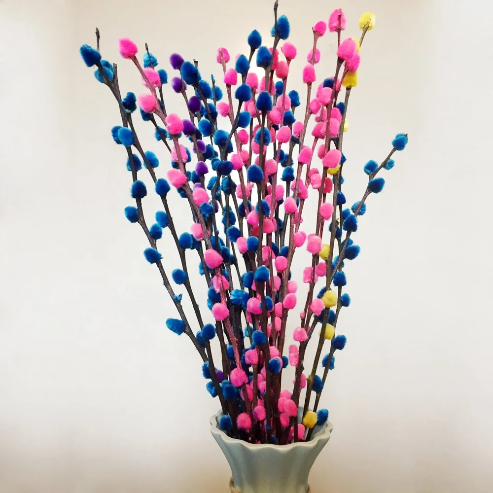 supply different types of fresh cut flowers pussy willow branches