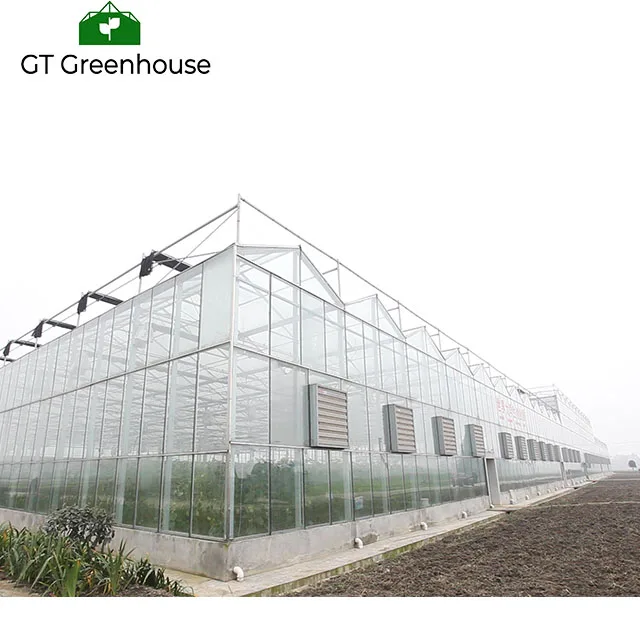 Agricultural Used Victorian Polycarbonate Greenhouse Equipments for Sale