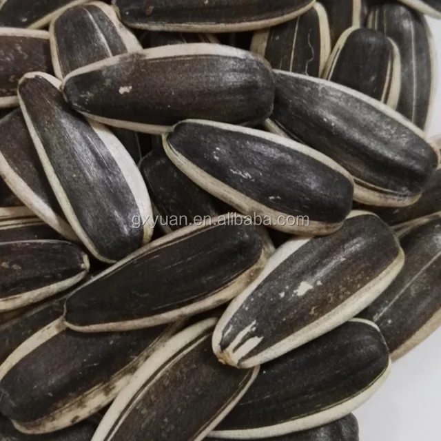 
sunflower seeds 363 