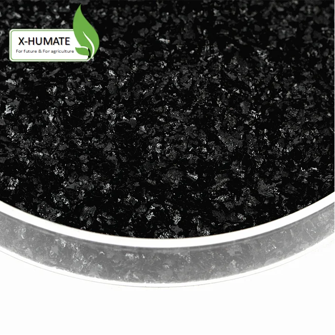 
X-humate 70%60-80 mesh leonardite organic fertilizer humus plus organic fertilizer 