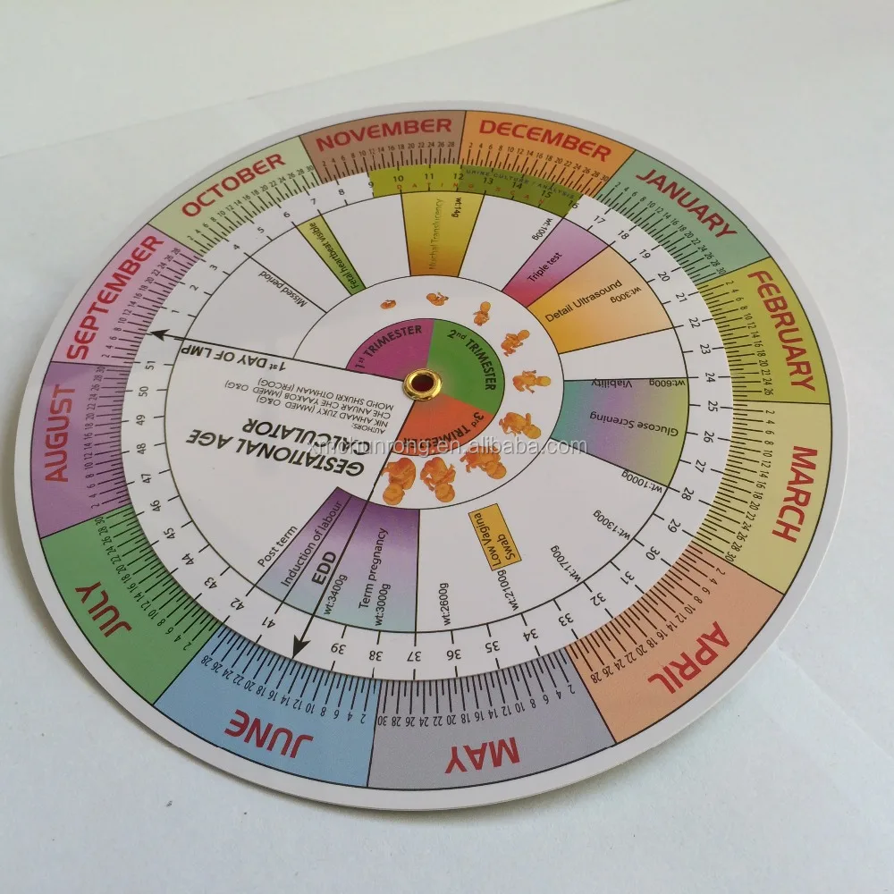 BMI Calculator wheel /Pregnancy Due Date Calculator/BMI medical wheel