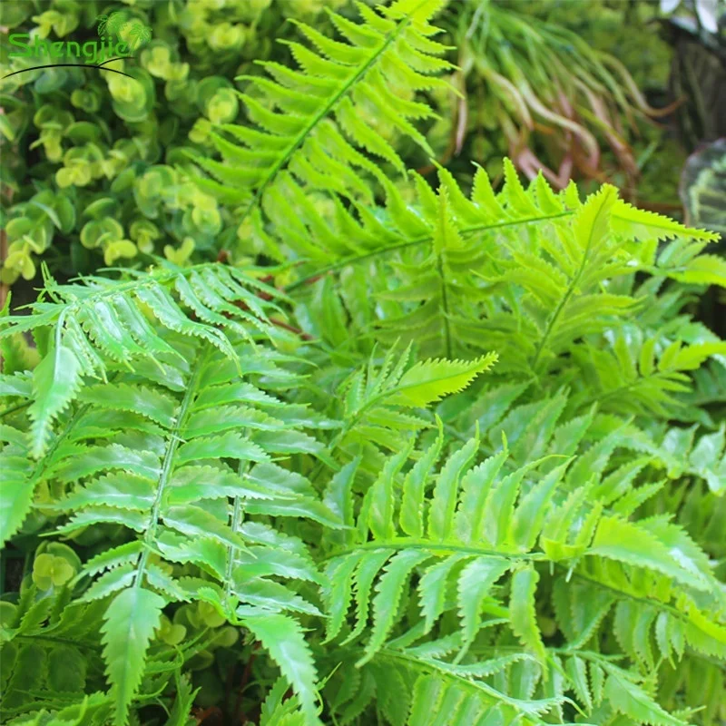 Anti-UV plastic vertical indoor artificial plant green wall for office