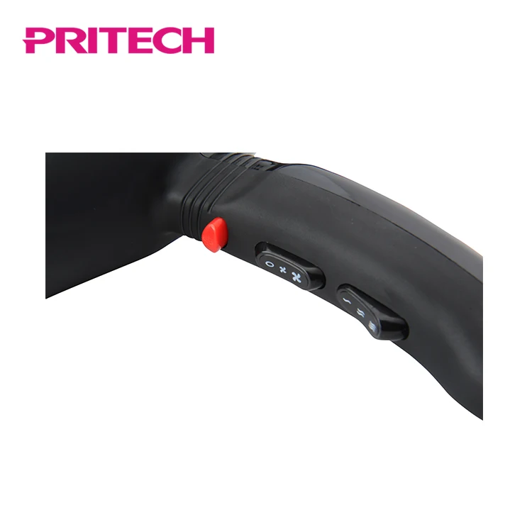 PRITECH Professional Use Customized 110V 220V Ac Motor 2200W Hair Dryer