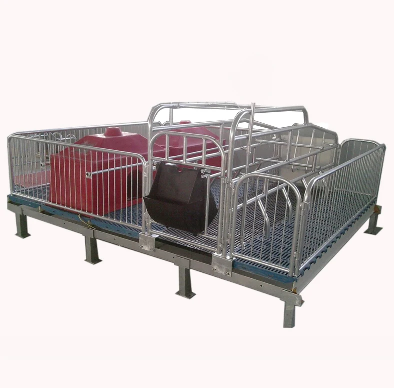 Wholesale PVC board steel sow farrowing crates for mother pig