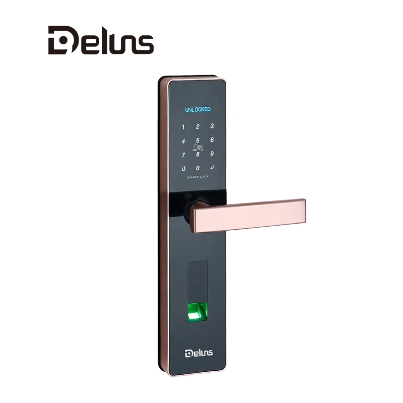 
Deluns bluetooth rfid card reader key password fingerprint app unlock gate lock for safe 