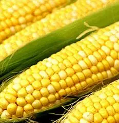 
Sweet Kernel Corn 