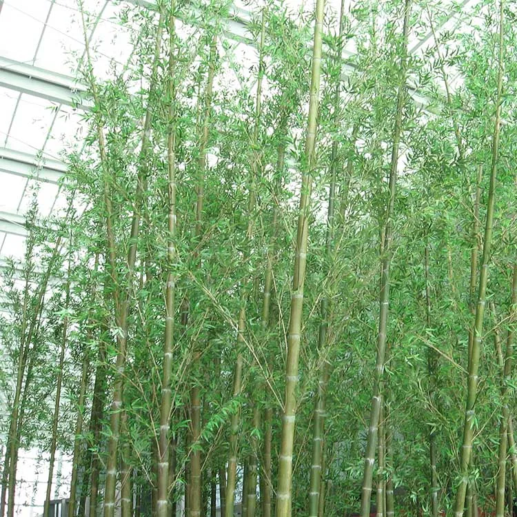 Realistic Decoration Artificial Indoor and Outdoor Decorative Trees Plastic Bamboo Fence
