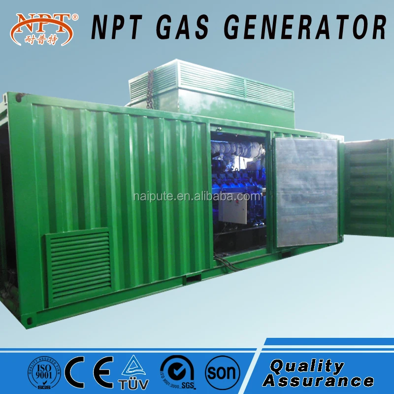 CE approved 10-300kW biogas electric generator biogas plant