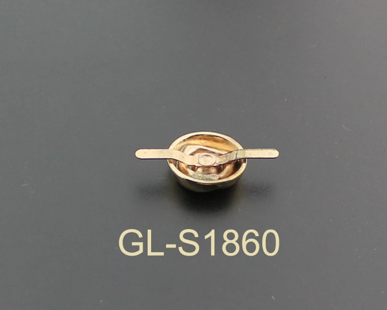 New product golden shoes buckle