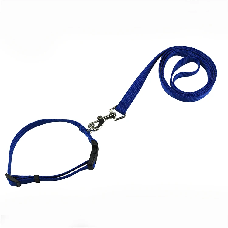 Real premium grade nylon dog collars leashes factory customize leads