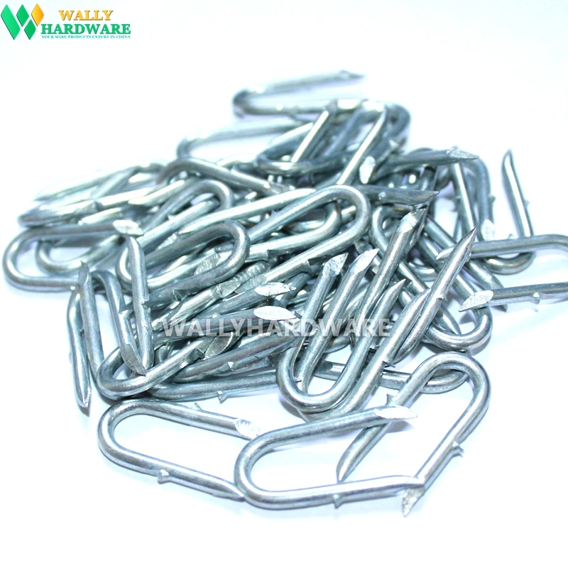 
Manufacturer Wholesales USA High quality galvanized sharp end barbed wire staple 