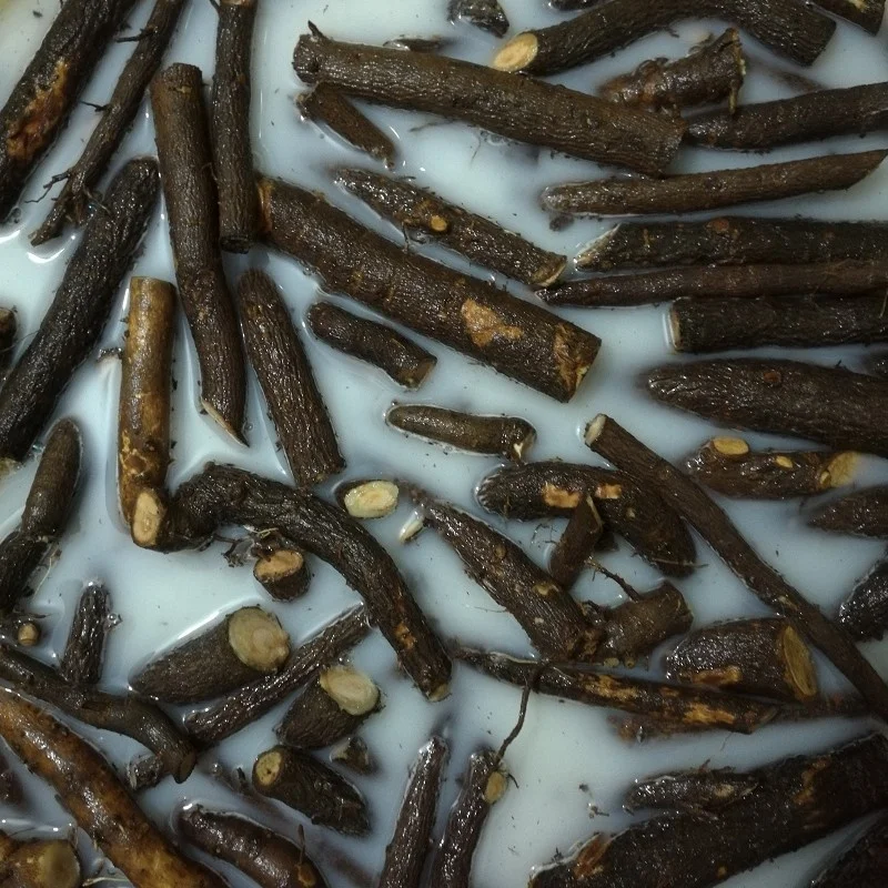 Семена павловнии удлиненной от золотого поставщика, оптовая продажа корней