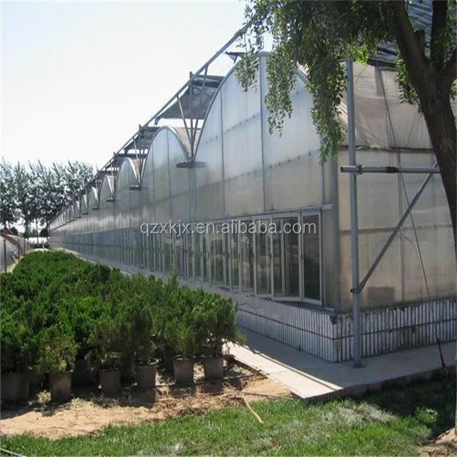 Multi-span Greenhouses transparent polycarbonate agricultural greenhouse