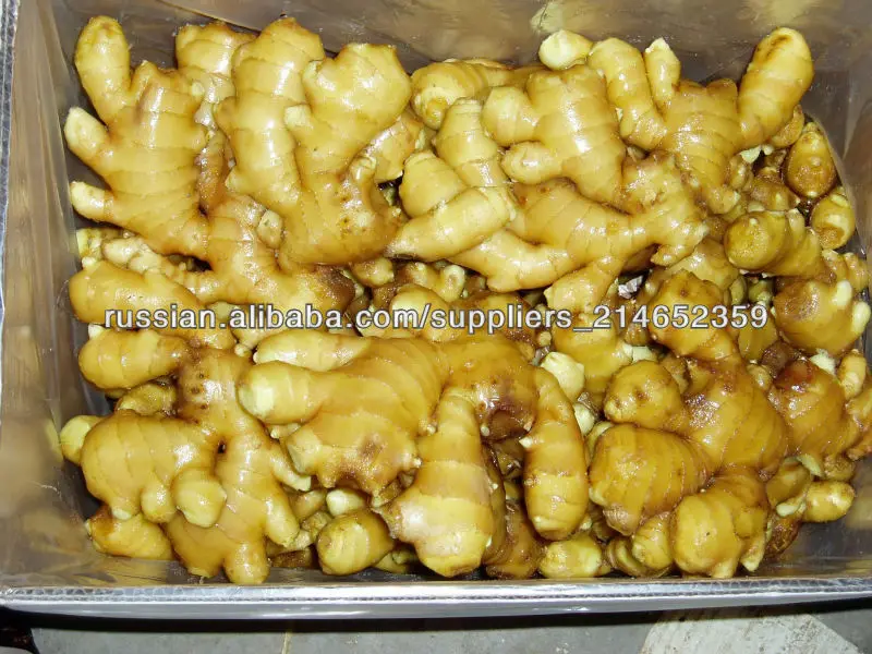 новй урожай китайский свежий и сухой имбирь