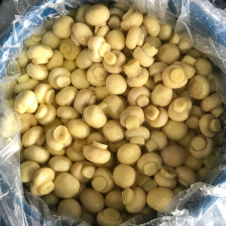 Low price whole brined champignon mushroom in drum