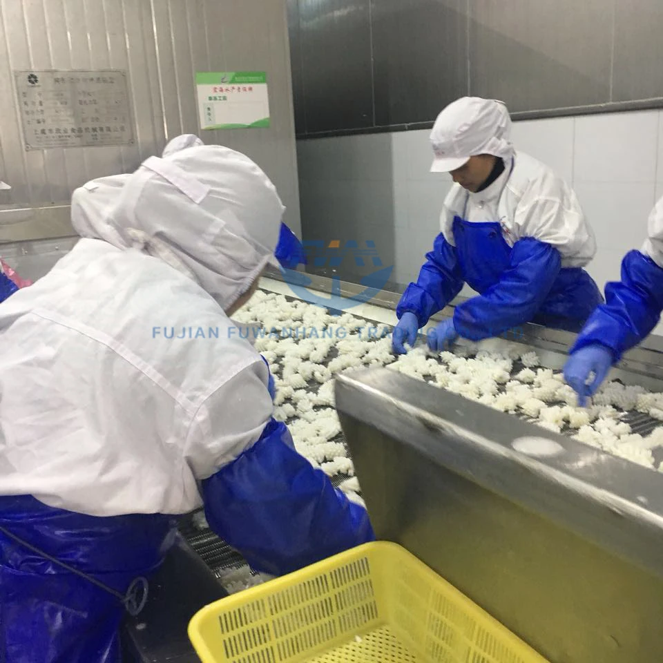 
Hot Sale IQF Frozen Squid Flower 30% Ice Glaze 