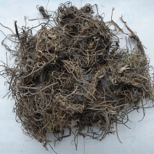 
Valerian root Radix et rhizoma valerianae XIE CAO 