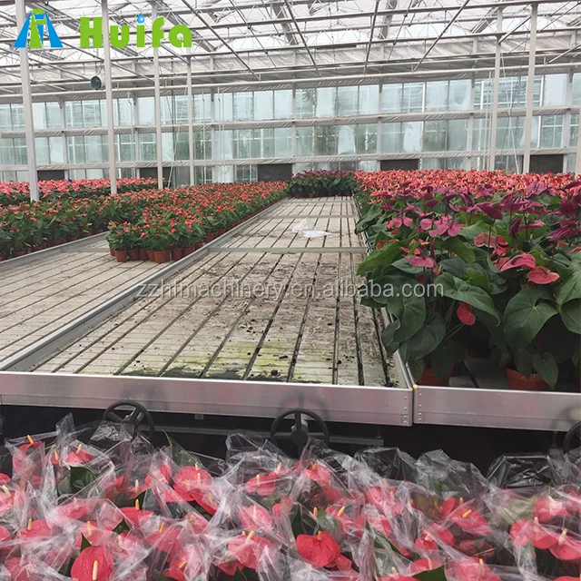 Indoor Plant Nursery Table Movable Greenhouse Nursery Growing Tables For Sale
