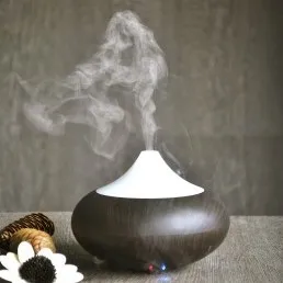 
GX аромат диффузор, дом используется прибор, так стекло увлажнитель 