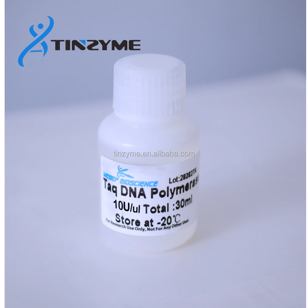 
high-sensitivity easy Taq DNA Polymerase in bulk 10U/ul of High Fidelity 