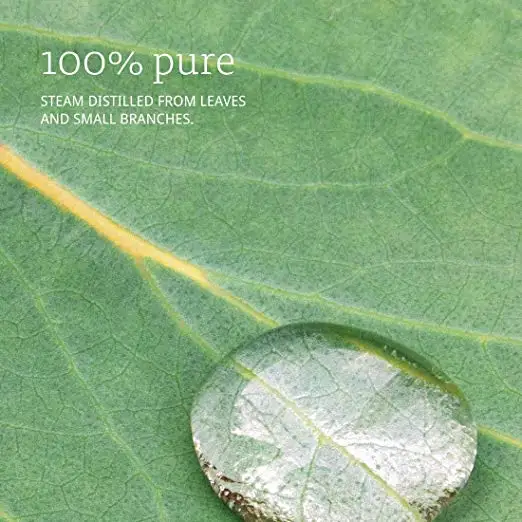  OEM ODM частная торговая марка 100% чистый натуральный ладан эфирное масло смесь масла экстракт эфирного