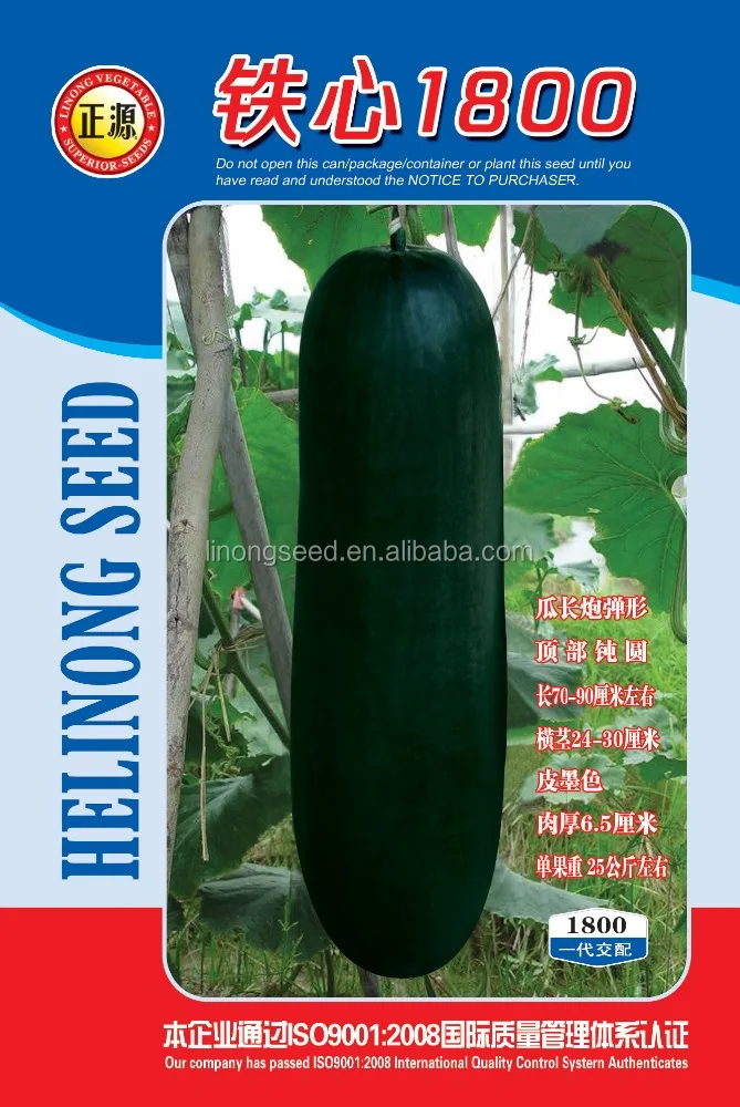 2015 недавно черный тыква семена