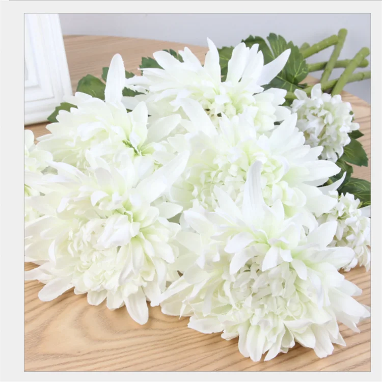 Factory Wholesale Fresh Cut Chrysanthemum For Home Decoration