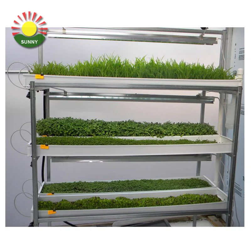 Hot sale healthy fodder system water-saving cattle green fodder growing machine