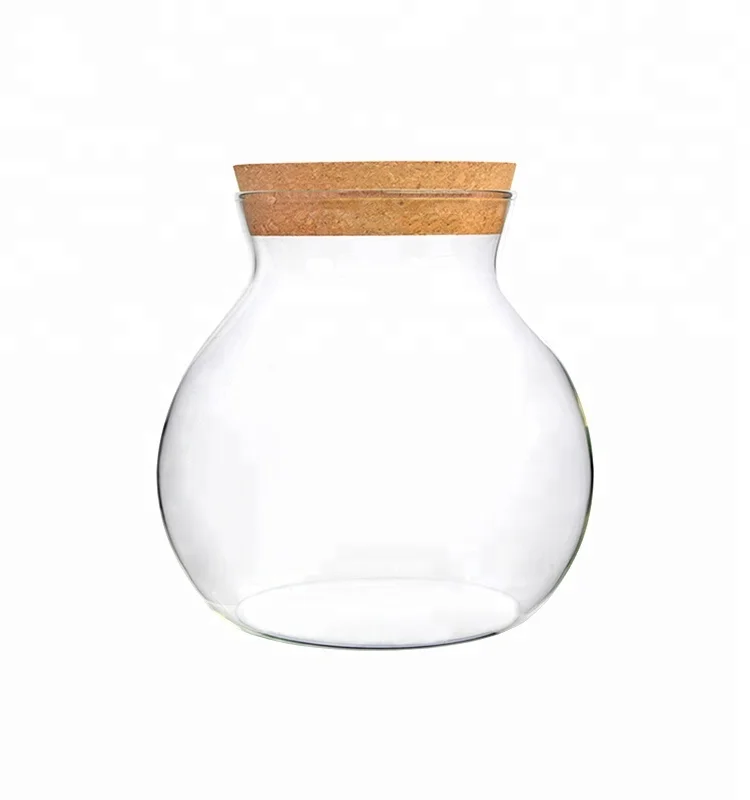 Borosilicate clear Food Storage Jar