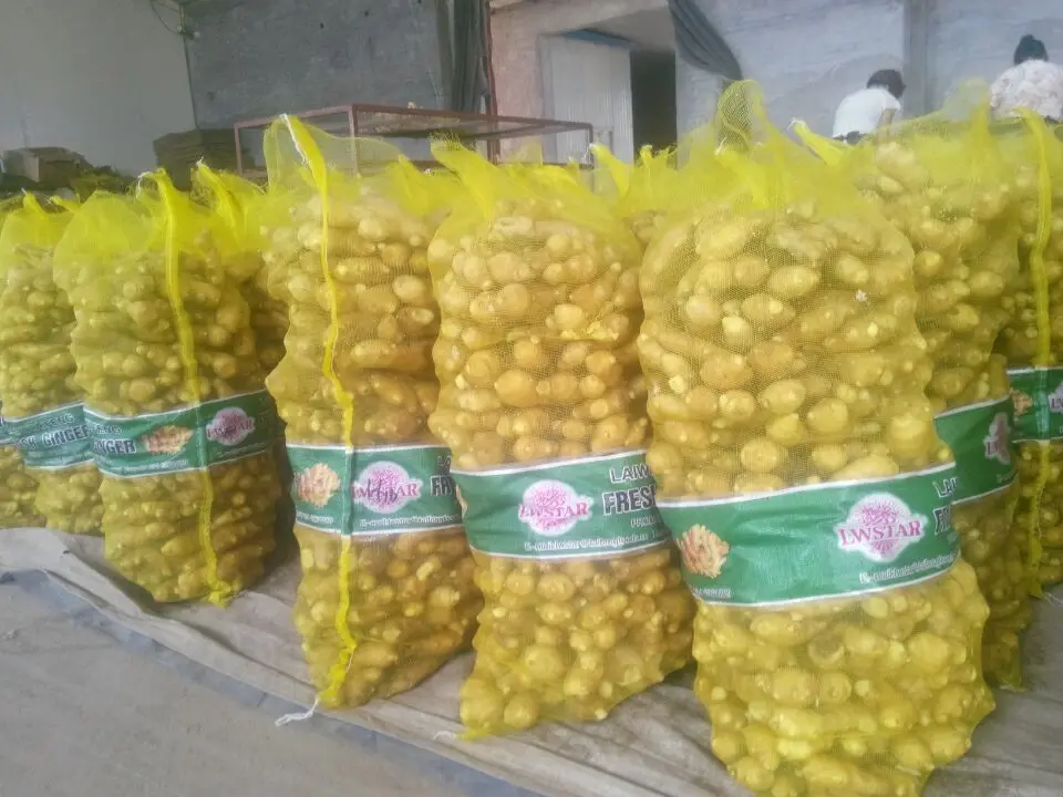 Свежий имбирь в картонной коробке 10 кг