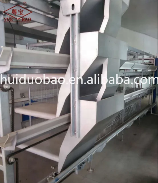 Poultry Manure Conveyor Belt Automatic Cleaning Chicken Manure Belt For Layer Feeding Chicken Cage