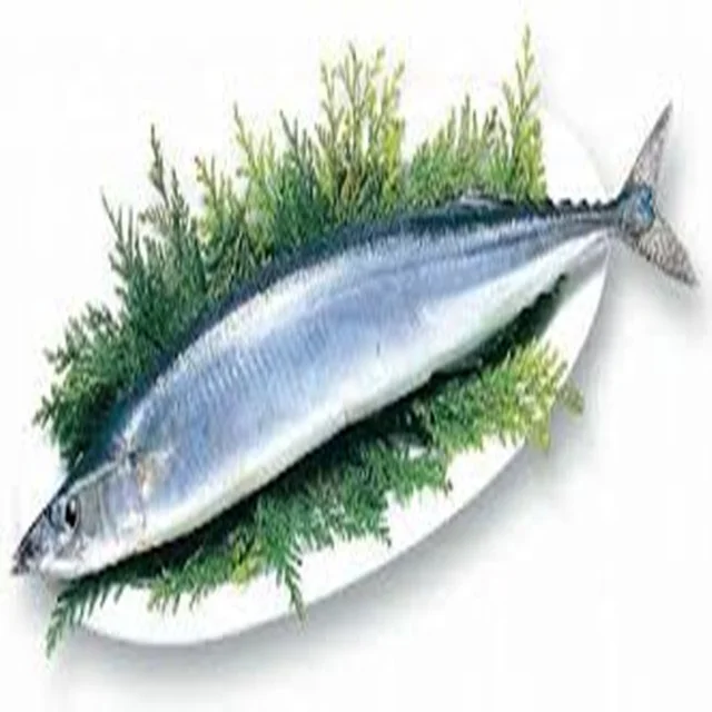 
2018 New arrive good quality Frozen Pacific Saury seafrozen fish for sale 