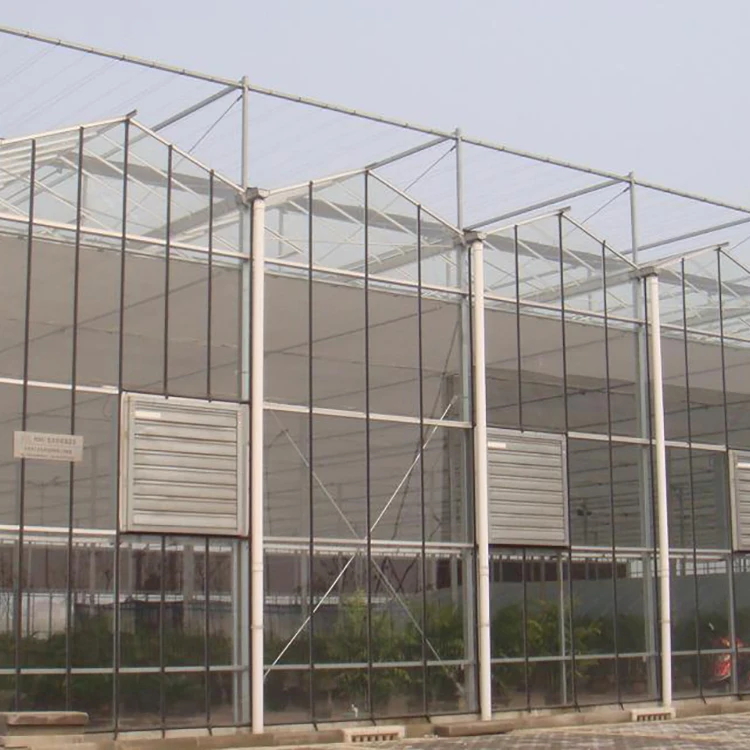 
Mutli span plastic film agriculture glass multi-span garden polycarbonate greenhouse 