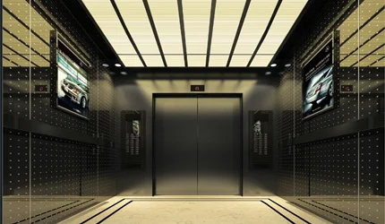  Высококачественный пассажирский Лифт на 6 человек цена/Бренды лифтов в