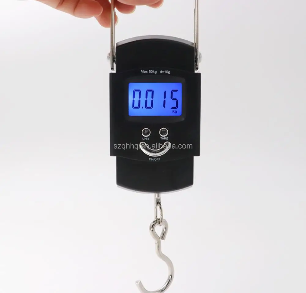 Electronic Price Scale 50kg 110lbs AAA Digital Luggage Weight Fruit Scale