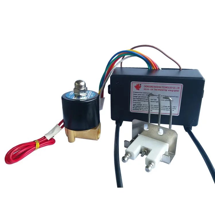 Electric gas pulse igniter for oven furnace