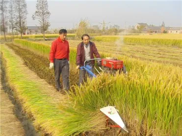 Small Combine Harvester Price small tractor harvester  mingyue Self propel hand held reaper walking tractor  reaper machine