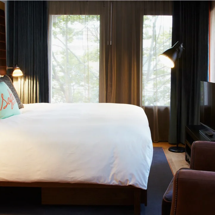 Control System Motorized Curtain Pinch Pleat Blackout Curtains Luxury Blackout Grommet Type Window Curtain For Home