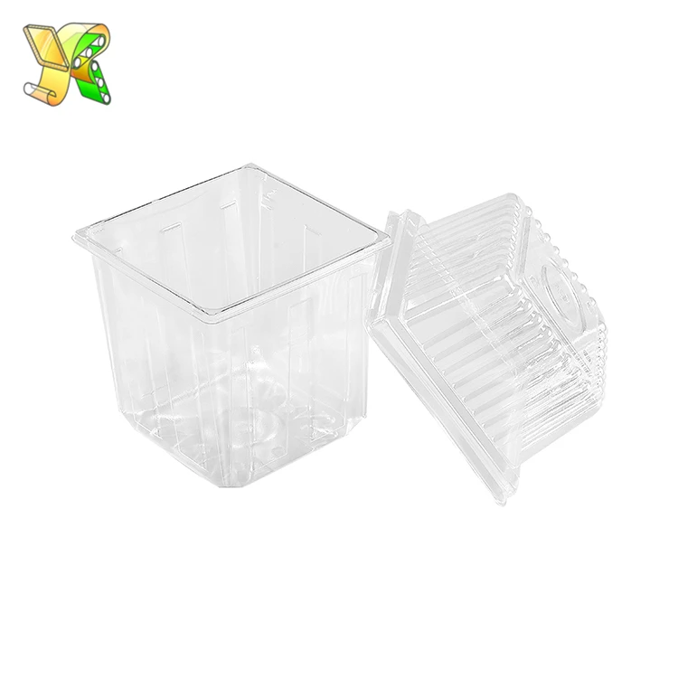 
Plastic high lid lunch box disposable high plastic container fruits guangzhou high plastic lids for salad 