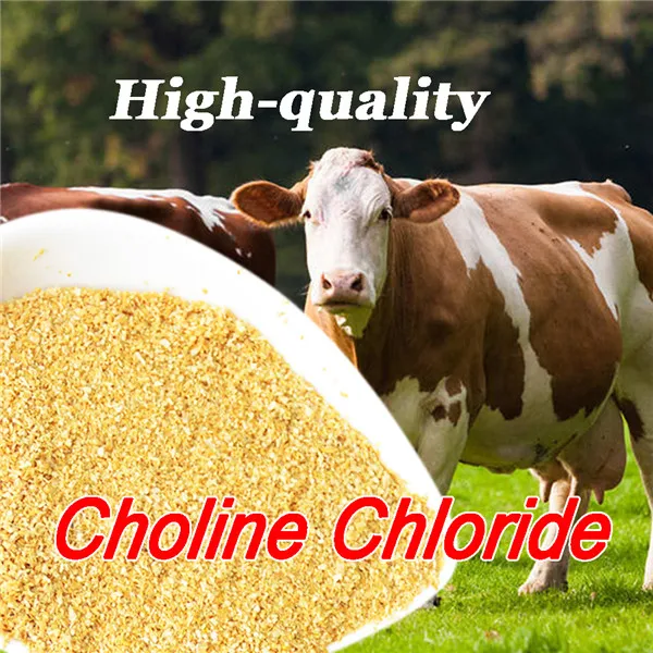 Best quality feed choline chloride supplement 60% per cob