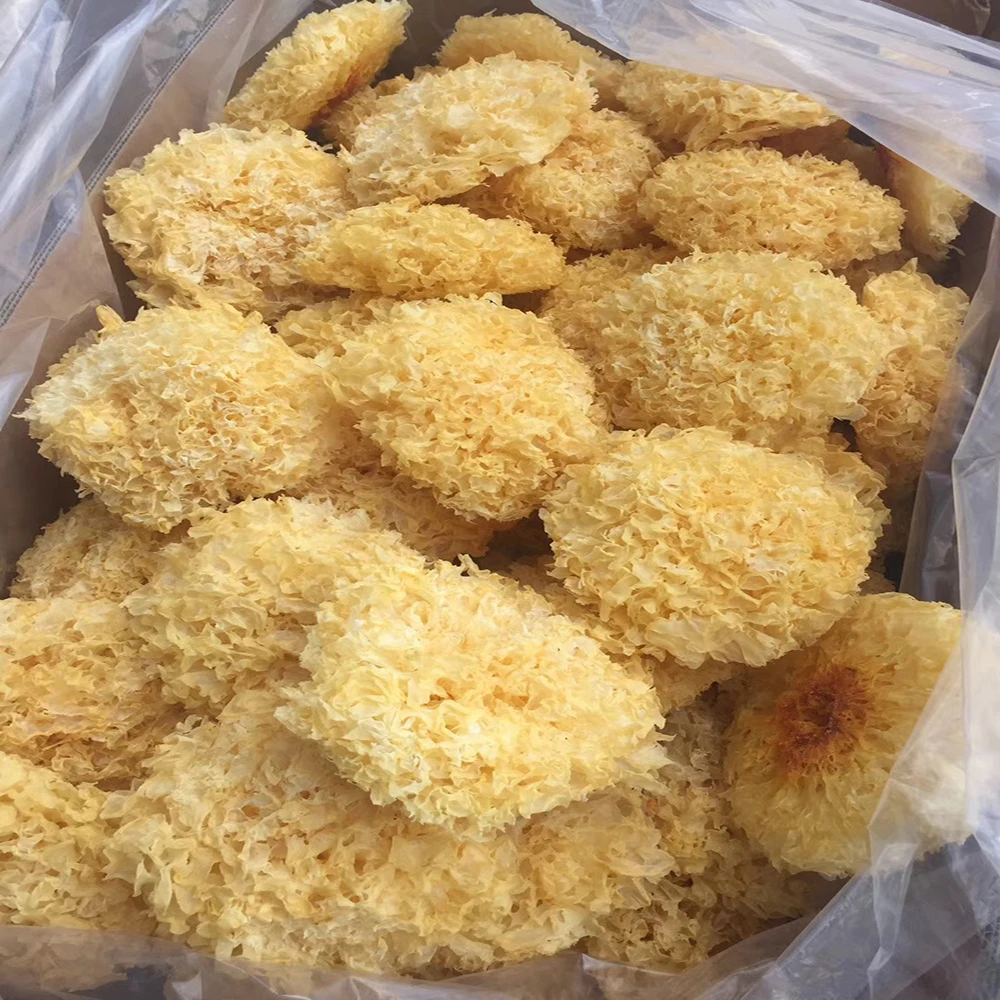 
High Quality Dried Tremella Mushroom, Tremella Fuciformis 