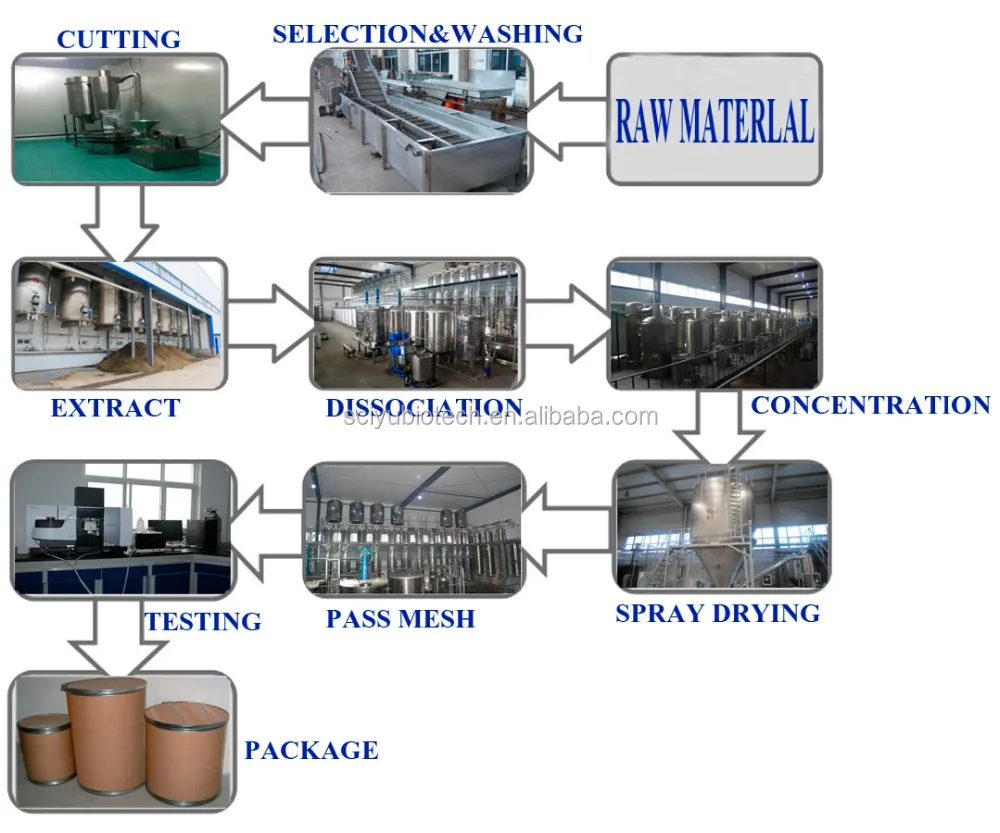 Super Food fucoidan Extract powder HPLC 85% 98%
