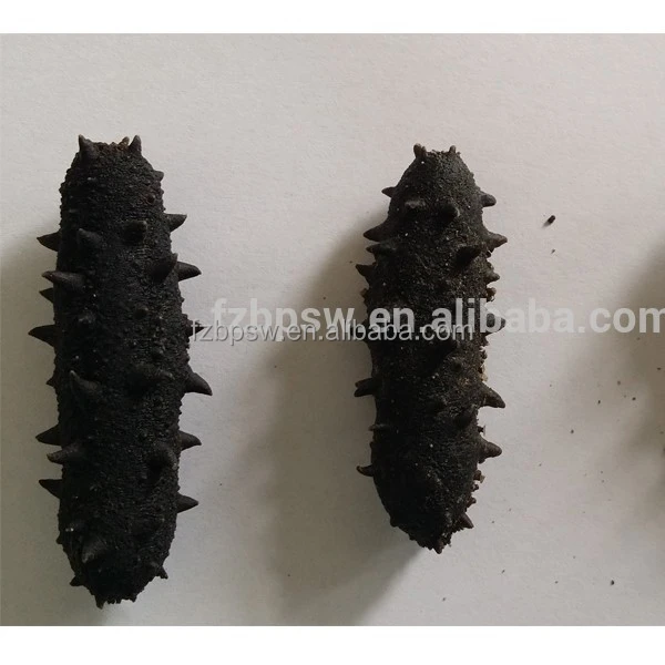 Органический колючий/spiky/spiny / thorny морской огурец, trepang,sea slug оптом