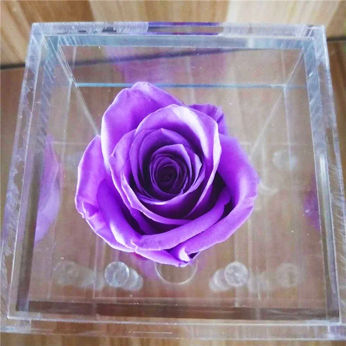 Wholesale 1 roses eternal rose single  preserved rose in acrylic box