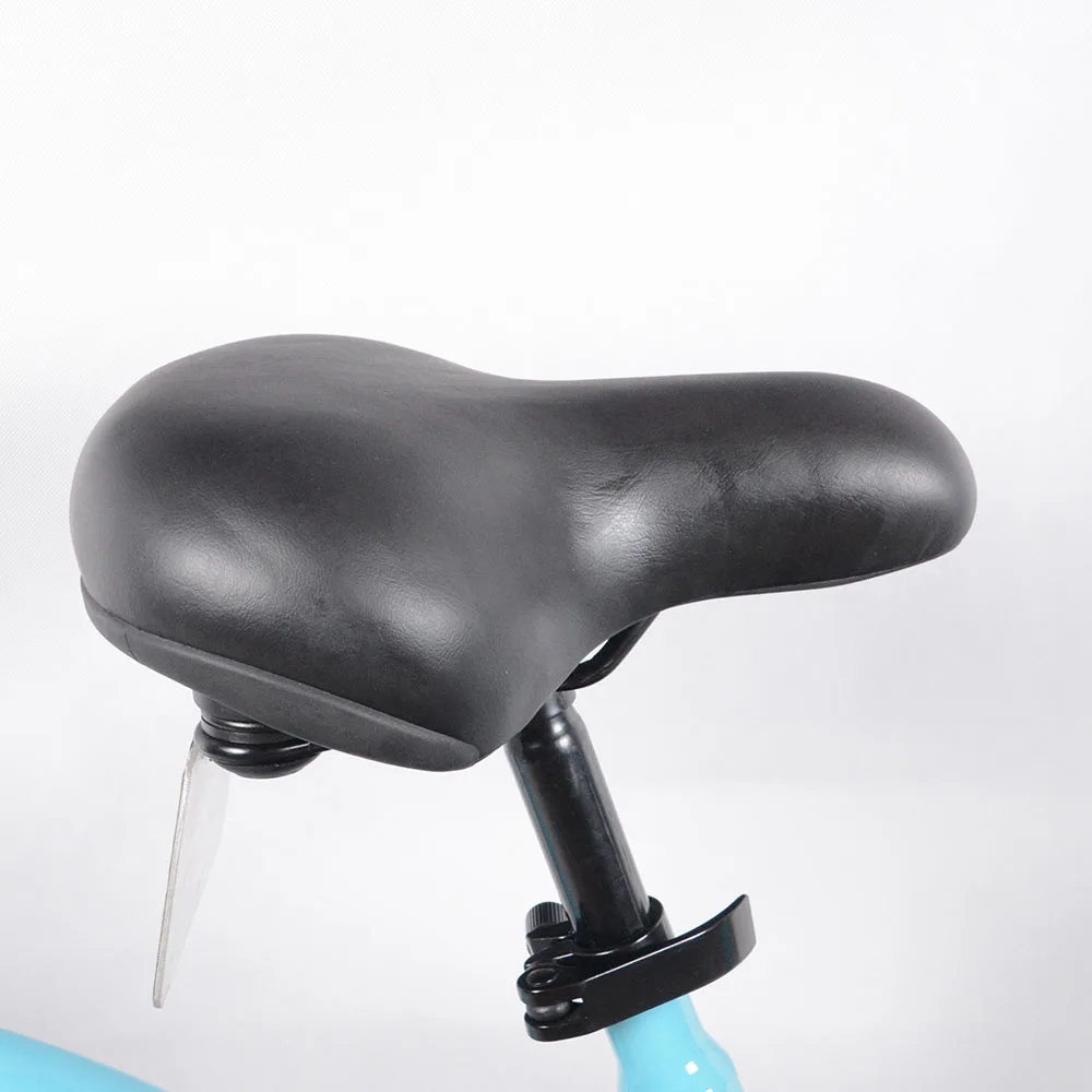 Manufacture steel frame fork 24 x 1.5 tire solid tube public bike share