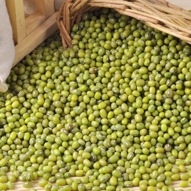 Grade A organic round green beans