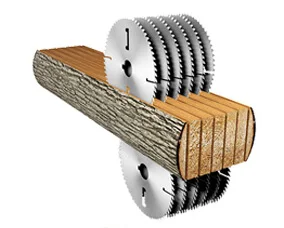 255mm (32+4)T Industrial 75Cr1  TCT saw blade with rakers for timber cutting